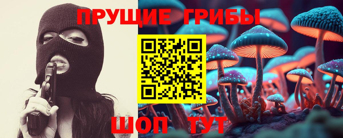 Галлюциногенные грибы Psilocybine cubensis  Вход с VPN  Кореновск  Галлюциногенные грибы Psilocybe 